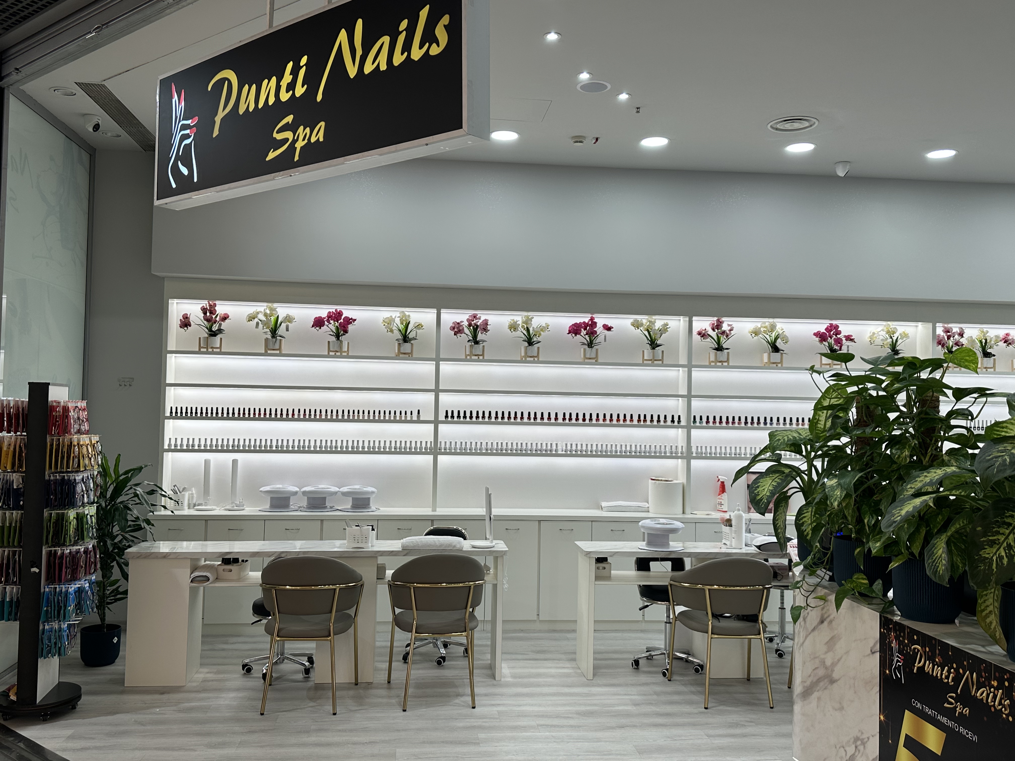 Entrata del salone